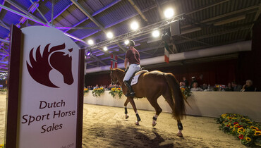 Advertisement; Dutch Sport Horse Sales-collection presents itself excellent