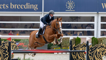 Stephex Stables acquires Devino van’t Langeveld Z to Daniel Deusser