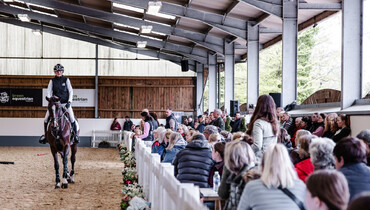 Breen Equestrian celebrates continued growth and international recognition as leading UK Stud