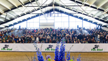 Top sport and breeding united in Bears on April 4