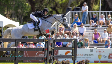 From youngster to international Grand Prix horse: Out of the Blue SCF