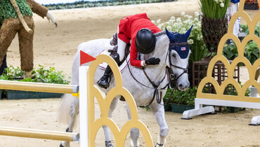Katie Dinan: “I’m doing this sport with and for my horse, my coach, my groom and my family”
