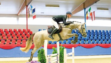 Advertisement; The Oldenburg Fall Elite Auction - October 3rd