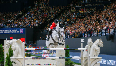 Kristen Vanderveen’s Bull Run’s Faustino de Tili retires from the sport to focus on breeding duties in Europe