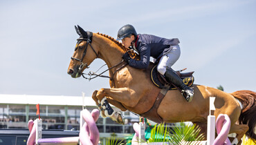 Pierre-Marie Friant’s Urdy d’Astrée retires from the sport