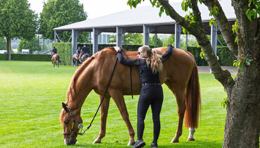 WoSJ Photo Specials – Out & About in Aachen
