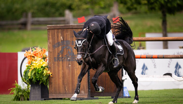 King & Replay Touch van de Stapelheyde win CSIO4* Grand Prix by a nose