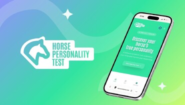 Scuderia 1918 launches “Horse Personality Test”