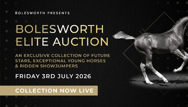 Bolesworth Elite Auction 2026 – Collection now Live!