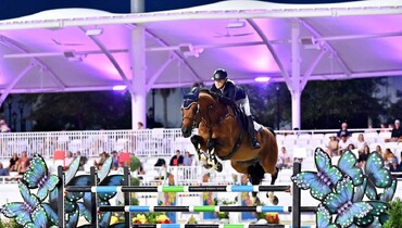 Tracy Fenney makes a splash with MTM Pablo in the $85,000 4CYTE Grand Prix CSI2*
