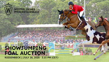 Westphalian foal auction in Riesenbeck – A new era of Zineday and Gotha begins