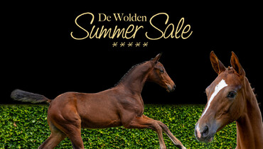 De Wolden Summer Sale is back and presents the top refences of the future!