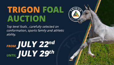 Trigon Auctions returns with the first collection of 2026