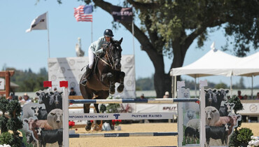 Jamie Sailor makes magic in $80,000 1.45m Grand Prix CSI2* at Woodside Charity