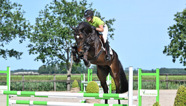 Dronten's successful Equestrian week returns with sporthorse and foal auctions