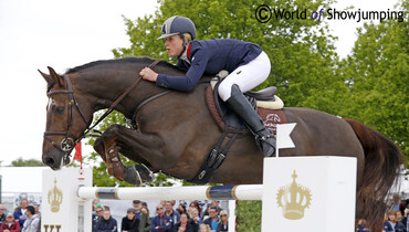 Dougie Douglas sells for €1.4 million at the Goresbridge Supreme Sale of Showjumpers