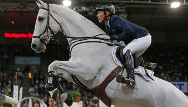 From youngster to international Grand Prix horse: Fibonacci
