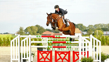 Advertisement: Holger Hetzel Sport Horse Sales 2015 presents Outstanding