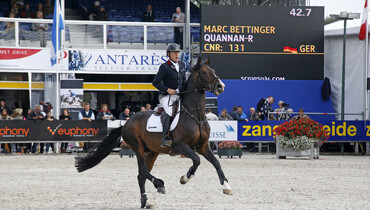 Quannan-R to focus on full-time breeding career