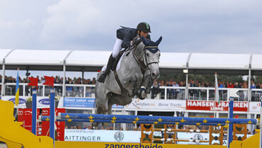 Ashford Farm sells Ellavar X and Vera