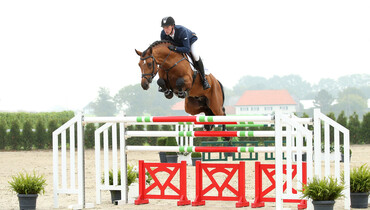 Advertisement: Holger Hetzel Sport Horse Sales 2015 presents King of Queens
