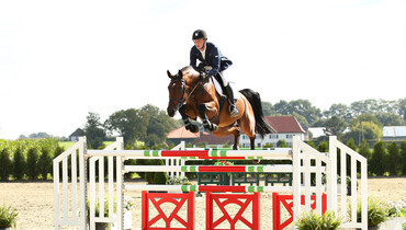 Advertisement: Holger Hetzel Sport Horse Sales 2015 presents Pep