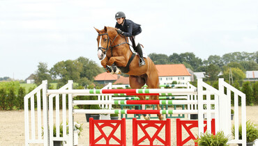 Advertisement: Holger Hetzel Sport Horse Sales 2015 presents Golden Future
