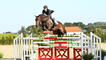 Advertisement: Holger Hetzel Sport Horse Sales 2015 presents Brown Eyes