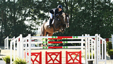 Advertisement: Holger Hetzel Sport Horse Sales 2015 presents Hip Easy