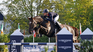 Record breaking year for Goresbridge Go For Gold & Supreme Sale of Showjumpers
