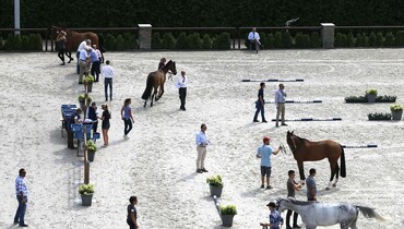 Global Champions League reacts on FEI statement – ”Our organization is at the forefront of horse welfare”