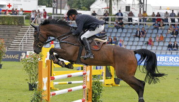 Two new youngsters for Artemis Equestrian Farm and Michaels-Beerbaum