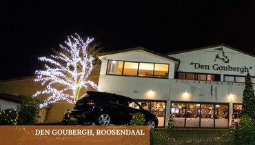 Advertisement: Holland Horse Sales – Solid as a Rock