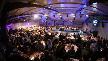 Advertisement: 11th Holger Hetzel Sport Horse Sales - the countdown has started