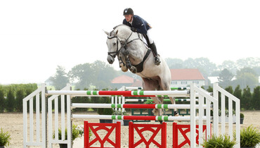 Advertisement: Holger Hetzel Sport Horse Sales 2015 presents Abnormal