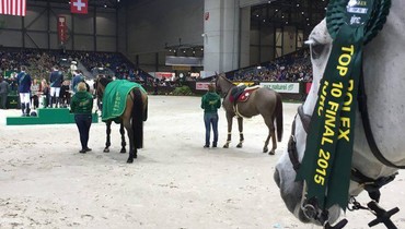 Marlen Schannwell: You would have needed to ride a rainbow winged Unicorn…