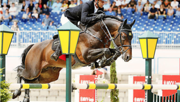 Marco Kutscher: “A horse cannot tell exactly what it feels, so it is important to prevent problems”