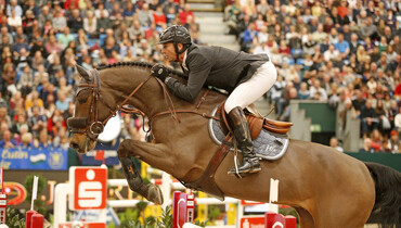 From youngster to international Grand Prix horse: Lacrimoso 3 HDC