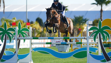Ursula XII, Hello Guv’Nor and Conrad de Hus back in the ring at 2016 Spring MET