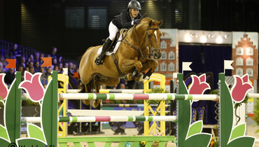 VDL Stud adds Falaise de Muze to their stallion collection