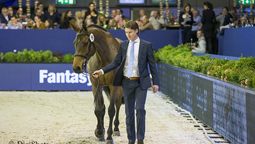 Cardento-daughter Fantasy BB to the United States through Jumping Talent Sale