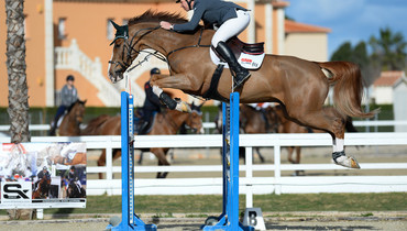 Clem McMahon shines with Pacino-offspring in young horse classes at 2016 Spring MET II Week 1