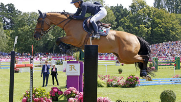 Quick Study retires from the sport