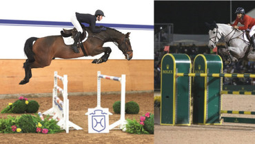 Zeremonie – dam of a current candidate at the Holsteiner Spring Auction - was second in the Nations Cup in Wellington