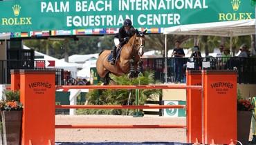 Margie Engle and Abunola top Ruby et Violette WEF Challenge Cup round 10