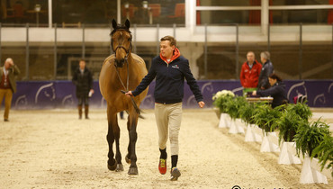 All horses through the second inspection in Gothenburg