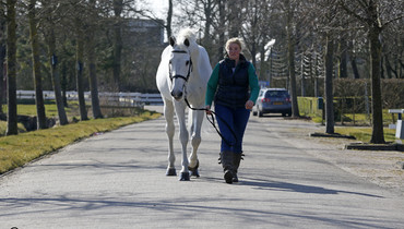 Visiting VDL Stud | Part one
