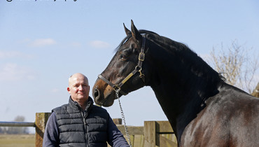 VDL Stud – a family business with heart and soul