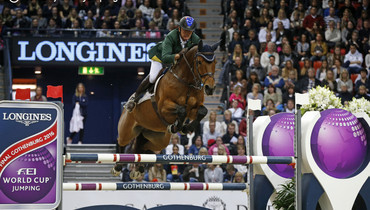 World Cup Final-sensation Cristalline: A horse of a lifetime!