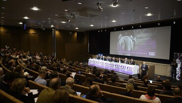 Olympic format debate serves as reality check for equestrian sport